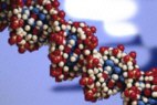 moleculeesai.jpg (14706 octets)